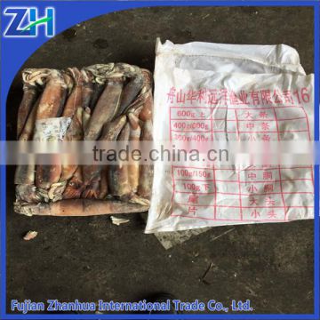 formalin clean illex squid, seafrozen jigger catch argentina squid200-300g