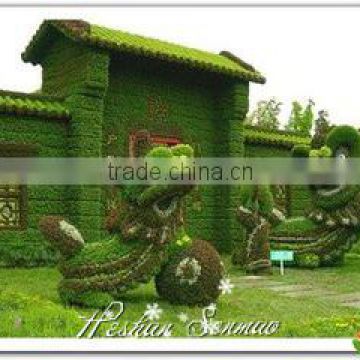 2016 new designed selling decorative topiary plants for garden ornament incompetitive price