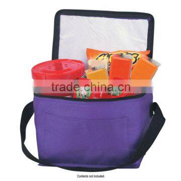 Non-Woven Insulated Six Pack Kooler Bag-Purple