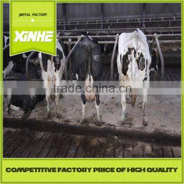 Factory Price of best quality Livestock Equipment Cow Lying Bar Factory