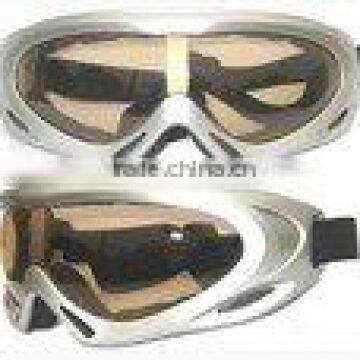 Ski Goggles