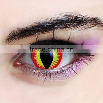 cheap free halloween cat eye color contacts