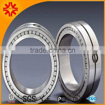 Double Row Full complement Cylindrical Roller Bearing SL014934