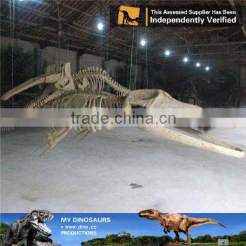 MY Dino-C058 Water Park Whale Skeleton for Sale
