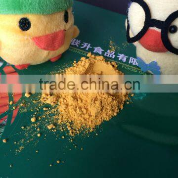 Grade A Dehydrated Pumpkin Powder