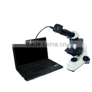 DBMVV5000CL-500P digital polarizing microscope