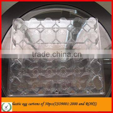 clear disposable plastic egg tray