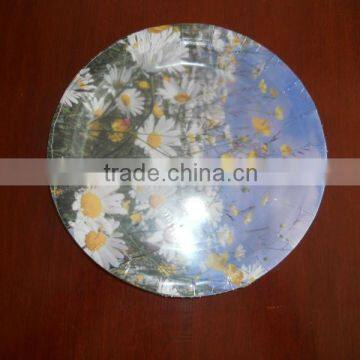 9 " inch disposable food paper plate