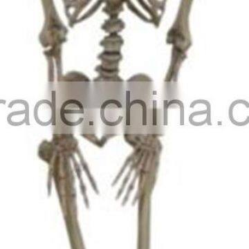 5.4'HALLOWEEN PLASTIC LIFESIZE SKELETON FOR PARTY decoration