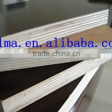 1220*2440 E1 glue Film Faced Plywood(BLMA)