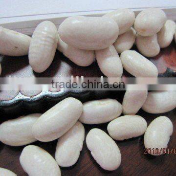 Japanese white kidney bean/baishake white kidney bean/small white kidney bean