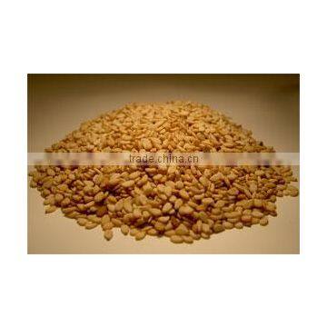 Sesame Seed photo-4