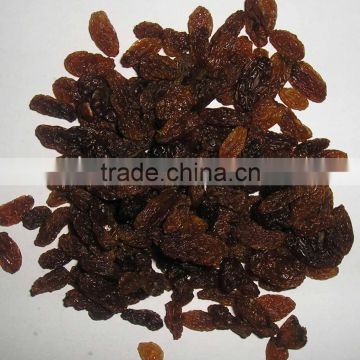 dried raisin