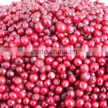 supply China wild Frozen IQF lingonberry best quality