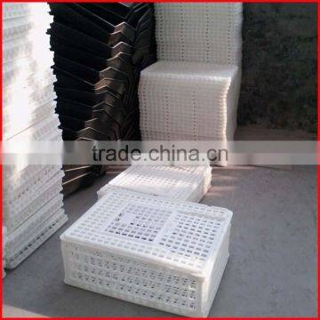 Chicken Coop for Poultry Farm photo-5