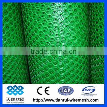 Plastic Plain Net /plastic Flat Net photo-5