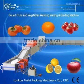 Fruit Cleaing Waxing and grading Machine