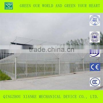 Multi-Span Seeding Greenhouse in Winter photo-4