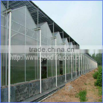 China Factory Blue Clear Greenhouse Skylight Carport Awning Roofing for Outdoor Canopy photo-3