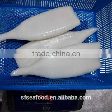 Squid Tube of Argentina Illex Squid photo-3