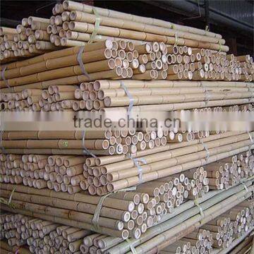 straight and strong dried garden tonkin Bamboo stakes