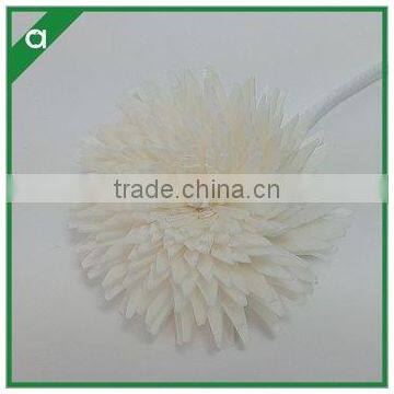 Dried Sola Flower From China Supplier photo-5