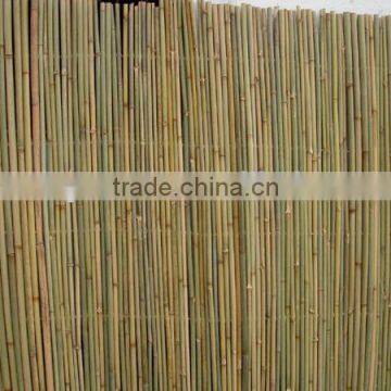 Drilled Bamboo Fence photo-3