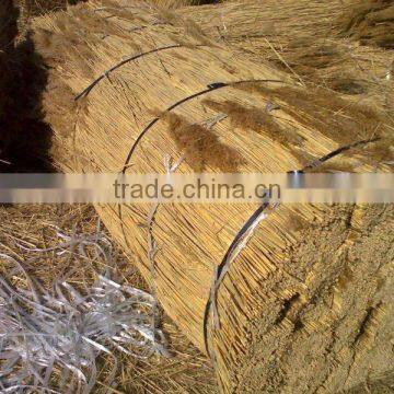 reed natural bundles for thatching