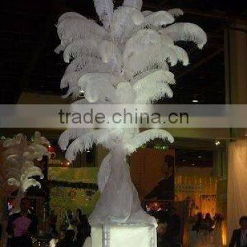 Carnival decorative large white ostrich feathers