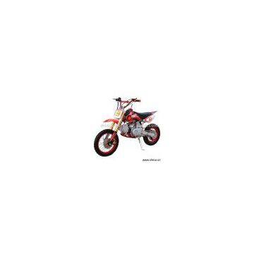 Sell Dirt Bike 110cc