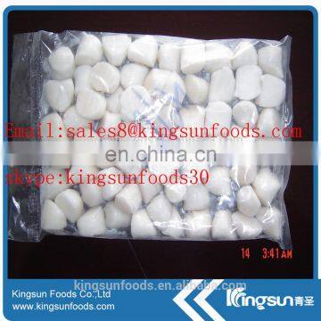 Frozen Scallop For American With Sea Scallop/bay Scallop
