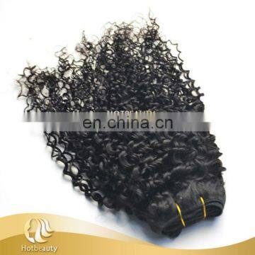 2015 Hot Sale Wet And Wavy Brazilian Hair Kinky Curly Virgin Hair photo-2