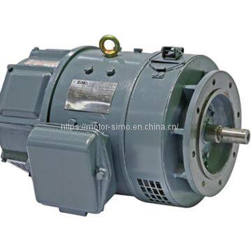 Z2 High Torque Simo DC Motor