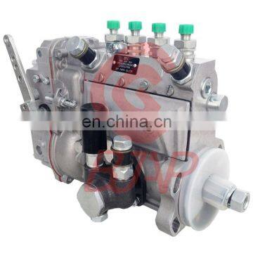 Fuel Injection Pump 10400874005 10 400 874 005  CPES4A80D410RS2523 for Deutz F4L912-G