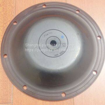 1A039 Diaphragms FKM Parts Fit Blagdon Pumps photo-3