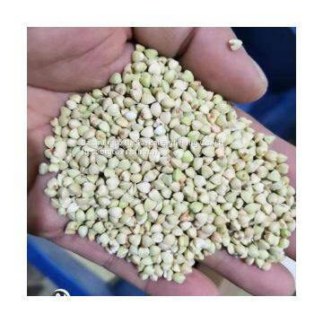 Buckwheat Shelling Machine-- Buckwheat Sheller photo-3