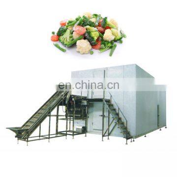 High quality cheap custom small tunnel instant freezer