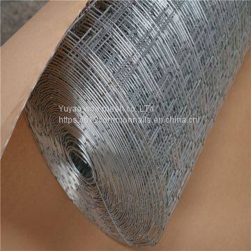 Hot Dipped Galvanized Welded Wire Mesh From Anping photo-5