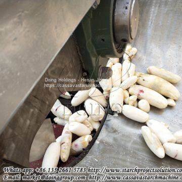 Large Capacity and Easy Maintenance Cassava Peeling Machine in Garri Production Line photo-4
