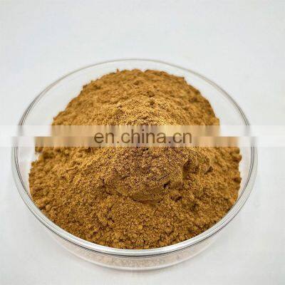 Top Quality Cordyceps Extract Cordyceps Sinensis Extract