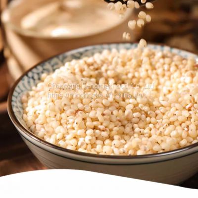 Sorghum rice