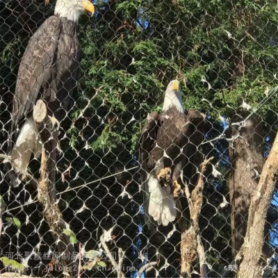 Hot Sale Zoo Wire Rope Mesh 316 316L Stainless Steel Flexible Wire Mesh Netting for Bird Aviary photo-3