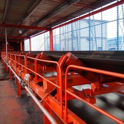 SAIMO ICS-ZL-8 Array-type High-Precision Belt Scale photo-4