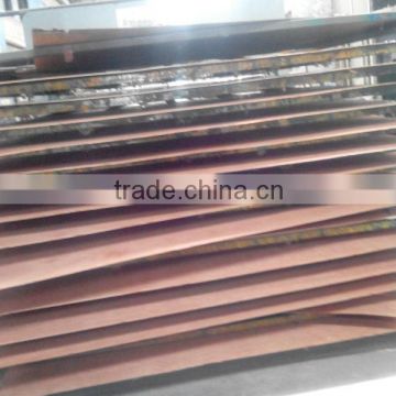 Commercial plywood/Furniture usage rose wood plywood