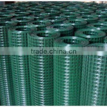 hot sale 1/2" square PVC Coated Welded Wire Mesh                        
                                                Quality Choice