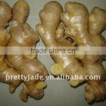 premium chinese yellow ginger