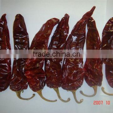 New crops, Xinjiang China ,dry paprika pods,chilli pepper