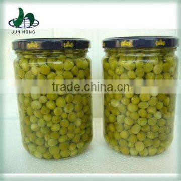 Top quality cheap delicious canned green bean price