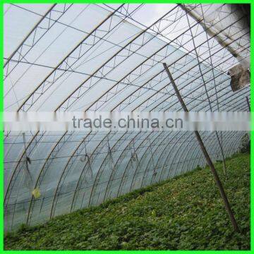 Suntex Virgin PE Protective Anti-aging Impervious Greenhouse Film,tunnel Greenhouse Roof Covers Seeding Nursery Warm House Film photo-4