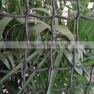 HDPE Plastic Extruded net for garden fence